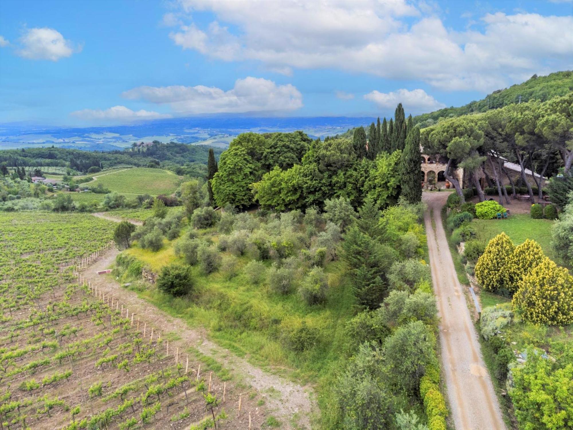 Apartment Cellole - La Stalla By Interhome Castellina in Chianti Eksteriør bilde